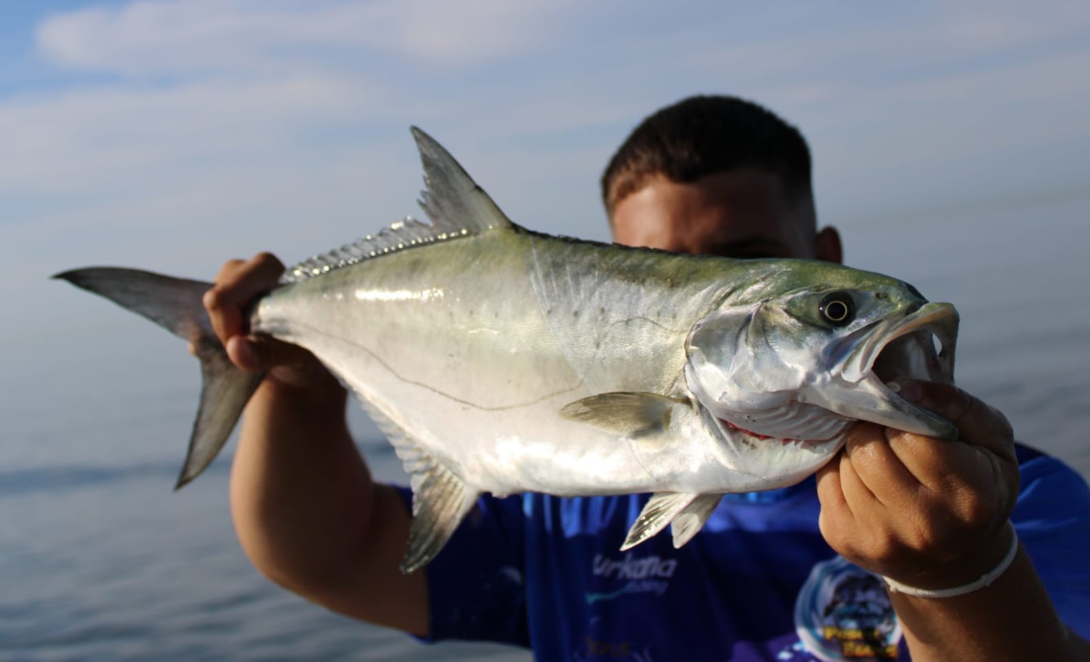 Tipos de señuelos para pescar a spinning · Blog de pesca · Álvarez